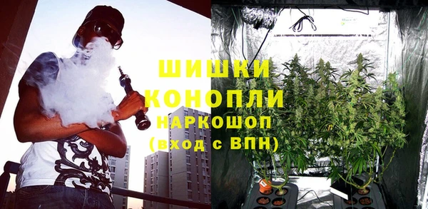 герыч Бронницы